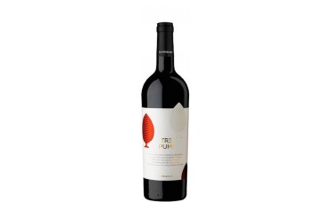 TR3 Pumi Rosso, San Marzano 2021