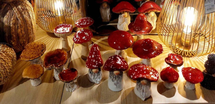 Herfst 2025